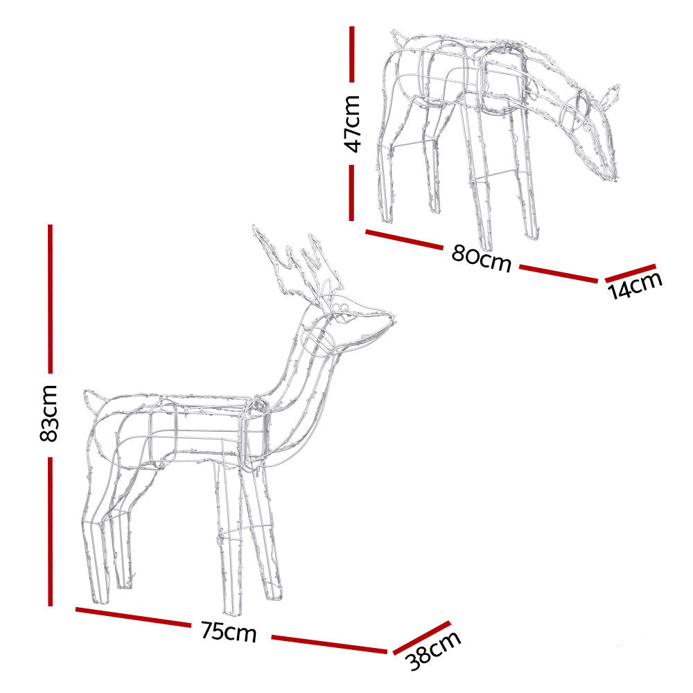 Two solar powered reindeers