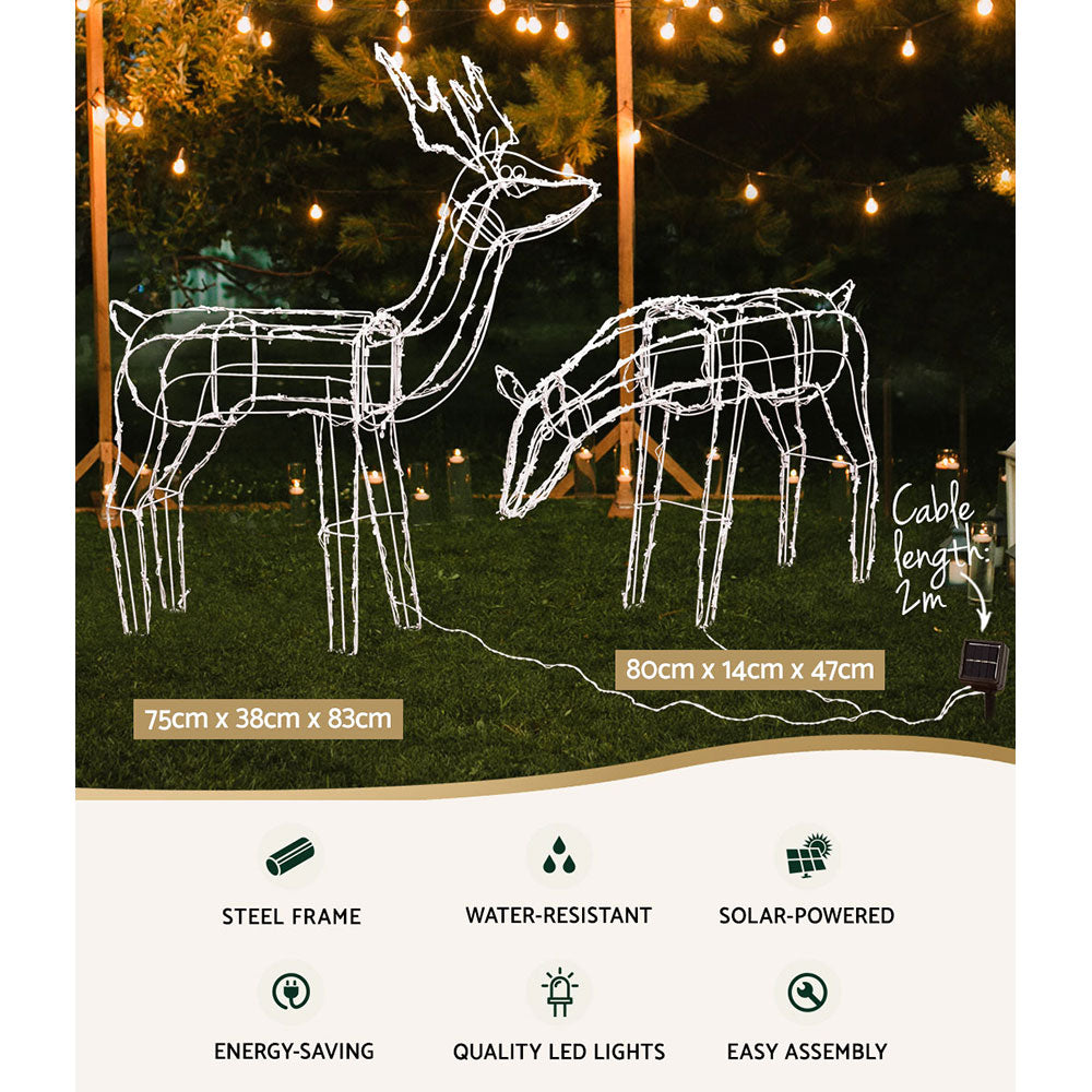 Two solar powered reindeers