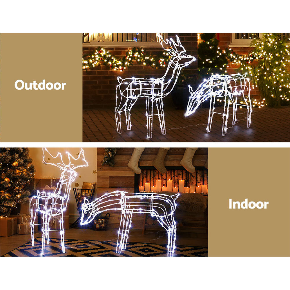 Two solar powered reindeers